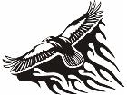  Animal Flames Falcon 0 9 1b A F 1 Decal