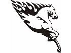  Animal Flames Horse 0 0 2b A F 1 Decal