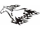  Animal Flames Horse 0 0 3b A F 1 Decal