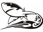  Animal Flames Shark 0 4 1b A F 1 Decal