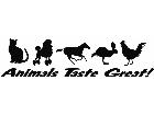  Animals Taste Great 1 Decal