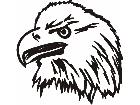  Bald Eagle 2 M M 1 Decal