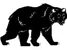  Bear 1 4 5 V A 1 Decal