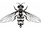  Bee 0 7 9 Decal