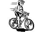  Biking 3 0 5 3 V A 1 Decal