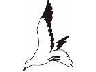  Birds Misc 1 8 5 Decal
