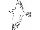  Birds Misc 1 8 7 Decal