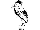  Birds Egret T G P A 1 Decal