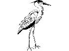  Birds Great Heron T G P A 1 Decal