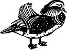  Birds Mandarin Duck 1 2 9 V A 1 Decal