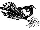  Birds Morning Dove 1 2 9 V A 1 Decal
