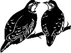  Birds Partridges 1 2 9 V A 1 Decal