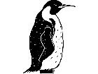  Birds Penguin 1 2 9 V A 1 Decal