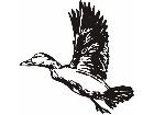  Birds Pintail Duck P A 1 Decal