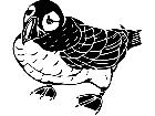  Birds Puffin 1 2 9 V A 1 Decal