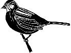  Birds Sparrow 1 2 9 V A 1 Decal
