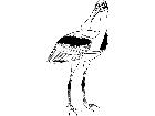  Birds Spoonbill T G P A 1 Decal