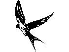  Birds Swallow P A 1 Decal