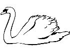 Birds Swan P A 1 Decal