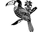 Birds Toucan 1 2 9 V A 1 Decal