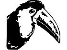  Birds Toucan P A 1 Decal