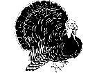  Birds Turkey T G P A 1 Decal