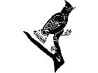  Birds Waxwing 1 2 9 V A 1 Decal