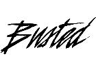  Busted 2 1 3 V A 1 Decal