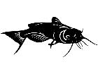  Catfish 1 4 1 V A 1 Decal