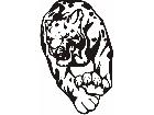  Cats Big Lions Tigers Panthers 0 3 5 Decal