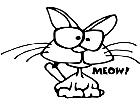  Cats Meow Decal