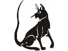  Cats With Style 0 4 9 Decal