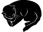  Cats Cat Nap 1 3 2 V A 1 Decal