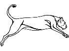  Cats Lioness 1 3 2 V A 1 Decal