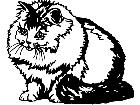  Cats Persian Smoke 1 3 1 V A 1 Decal