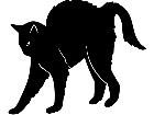  Cats Stretching Cat 1 3 2 V A 1 Decal
