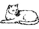  Domestic Animals Cat P A 1 Decal