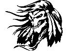  Skull Hair I Wind Decal