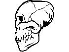  Skull Side 0 6 1 V A 1 Decal