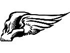  Skull Wings Back Decal