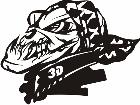  Skulls 1 3 6 3 D G Decal