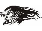  Skulls 1 3 9 3 D G Decal