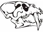  Skulls Bones 0 1 1 Decal