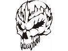  Skulls Bones 0 6 5 Decal