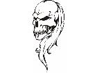  Skulls Bones 0 6 8 Decal