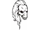  Skulls Bones 0 7 2 Decal