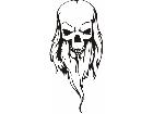  Skulls Bones 0 8 3 Decal