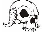  Skulls Bones 0 8 6 Decal