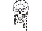 Skulls Bones 0 9 1 Decal