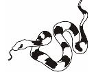  Snake 0 5 0a Decal